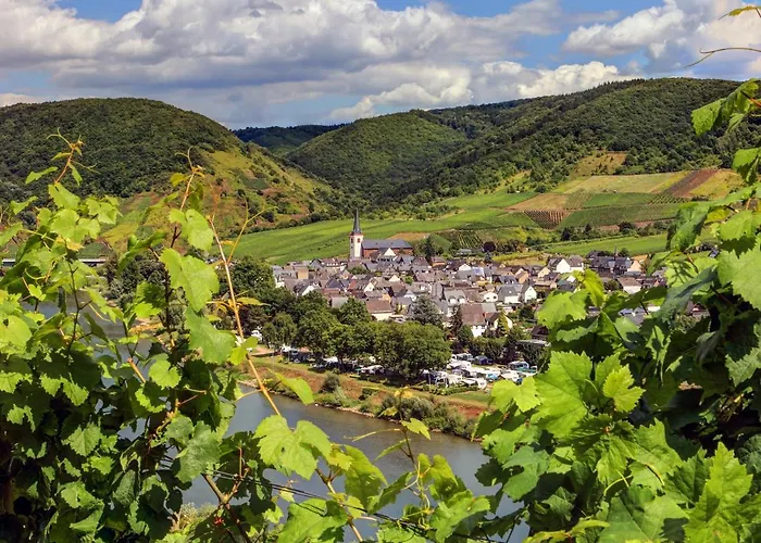 Moselhof Ferienwohnungen